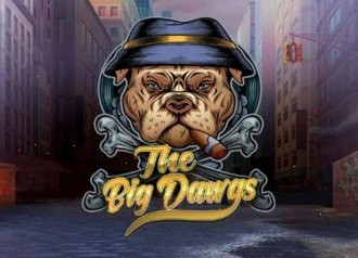 big dawgs казино